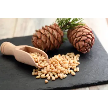 Natural Pine Nuts